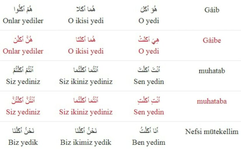 Yemek Yemek Fiil Türü: Doğru Tanım ve İnce Ayrım [2026]